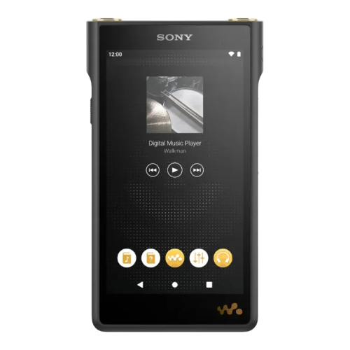Замена корпуса Sony NW-WM1AM2 Black